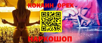 спиды Новодвинск