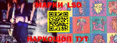 молекула духа Новозыбков