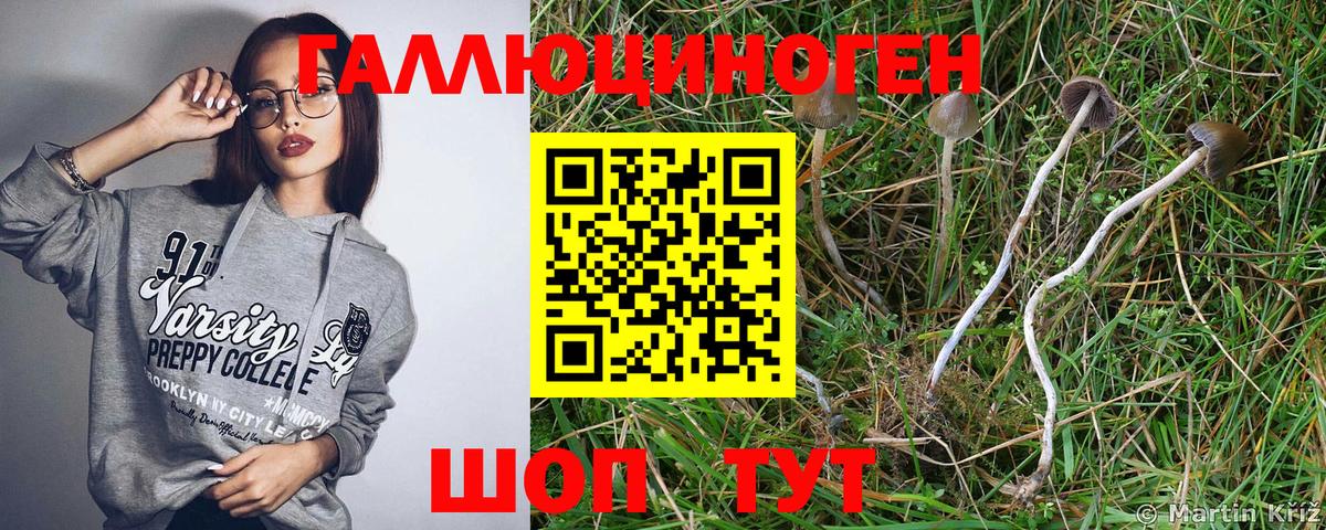 Галлюциногенные грибы мицелий  Галлюциногенные грибы Magic Shrooms  Вход с VPN  Балахна 